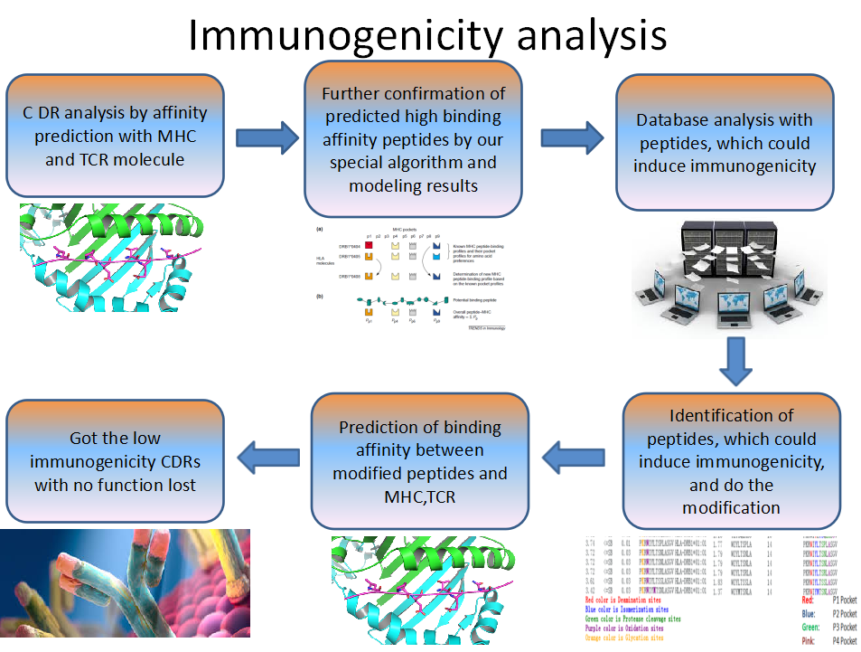 With the advent of the era of precision medicine, monoclonal antibody drugs have become a hotspot in biological drug treatment due to their high specificity and effectiveness. As the types of monoclonal antibody drugs increase and their applications widen, related immunogenicity issues gradually emerge. For patients, immunogenicity affects the safety and effectiveness of drugs, and even brings fatal new diseases to patients due to ADA and endogenous protein cross-reactivity; for enterprises, the risk of research and development greatly increases, and if ADA problems are discovered in the late stage of clinical development, it will result in heavy losses; for drug regulatory departments, immunogenicity has also become a top priority, and all biological drugs must have an immunogenicity evaluation before they go on the market to ensure the safety and effectiveness of the drugs.
